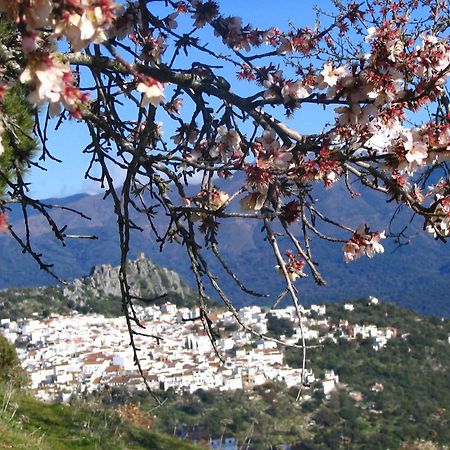 La Fructuosa Hotel Gaucin Bagian luar foto
