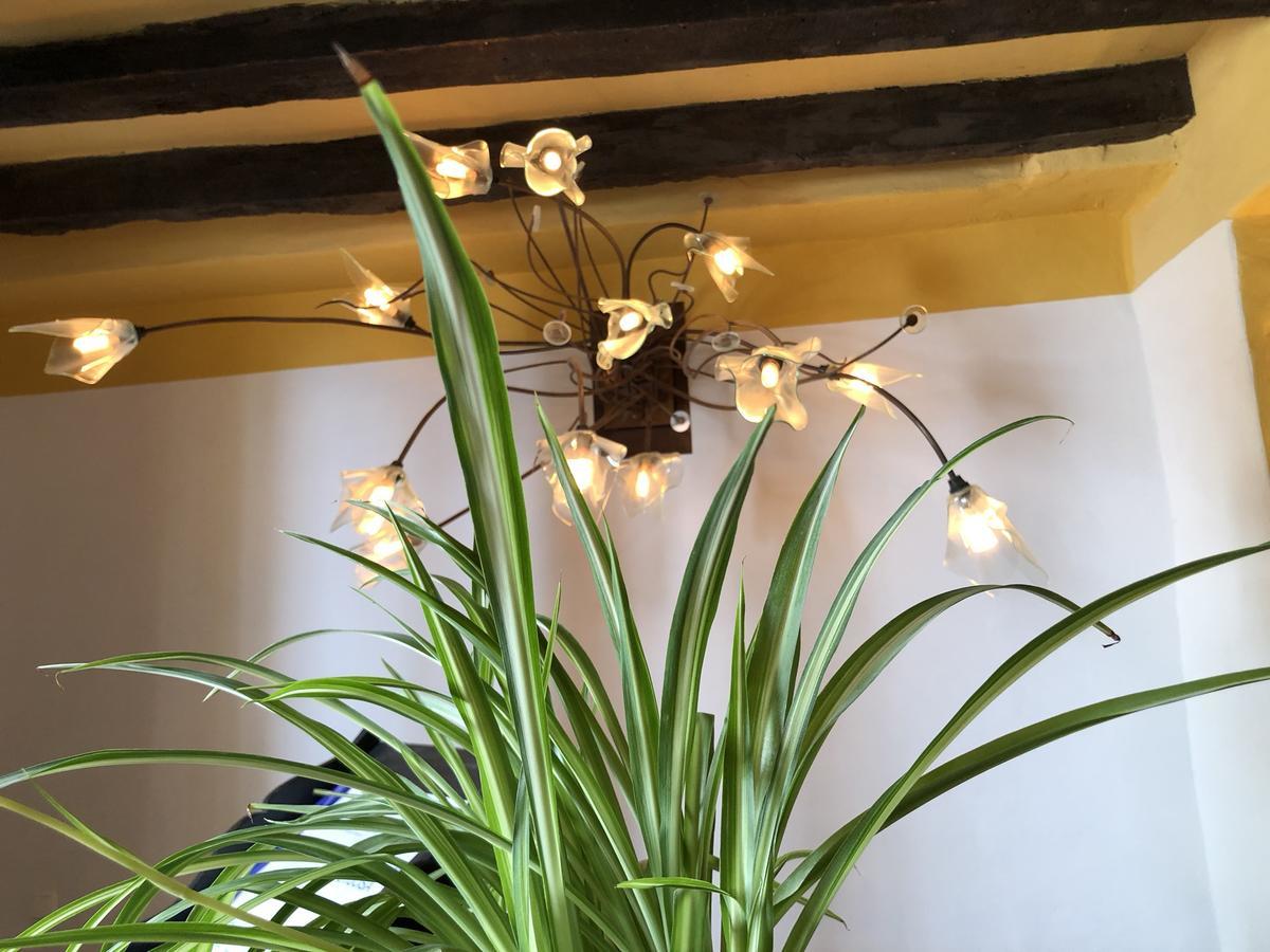 La Fructuosa Hotel Gaucin Bagian luar foto